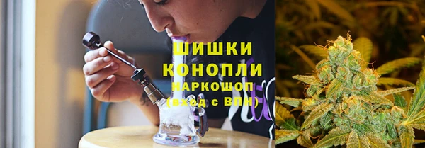 сатива Володарск